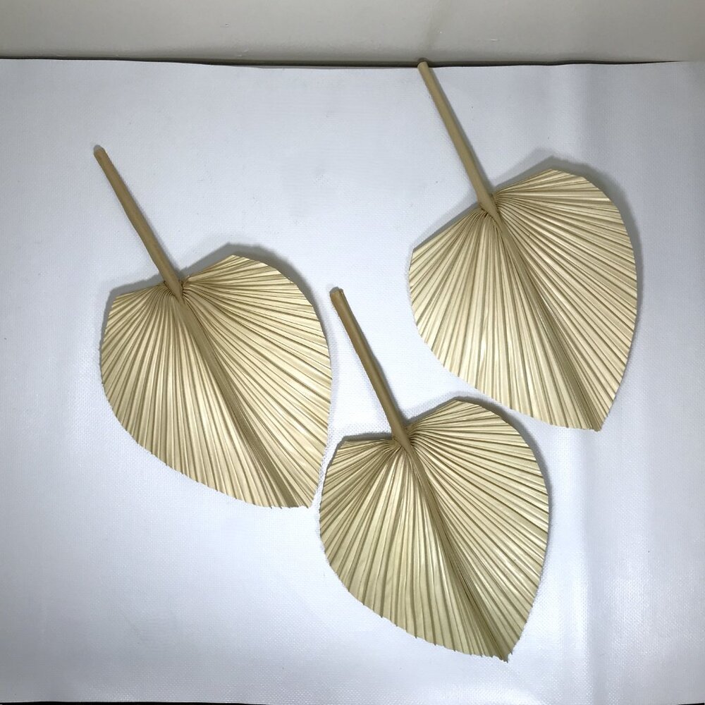 Dried Palm Leaf Spears - Picture 4 of 5